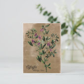 Carte Postale Alfalfa de style vintage (Debout devant)