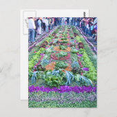 Carte Postale alfombra 16 (Devant / Derrière)