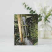 Carte Postale Alfred Reagan's Mill (Debout devant)