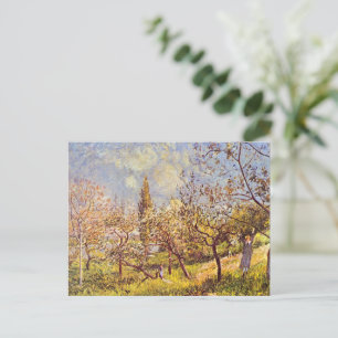 Carte Postale Alfred Sisley Orchard au printemps
