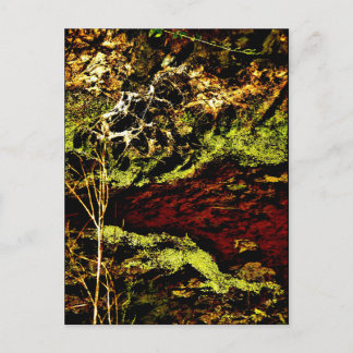 Carte postale "Algae Canal Fallon" JTG Art