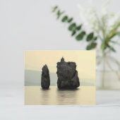 Carte Postale Algérie (Debout devant)