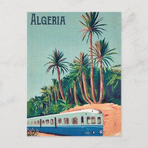 Carte Postale Algérie, train Passant les palmiers
