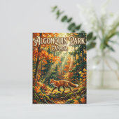 Carte Postale Algonquin Provincial Park Canada (Debout devant)