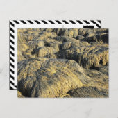 Carte Postale algues (Devant / Derrière)