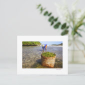 Carte Postale algues (Debout devant)