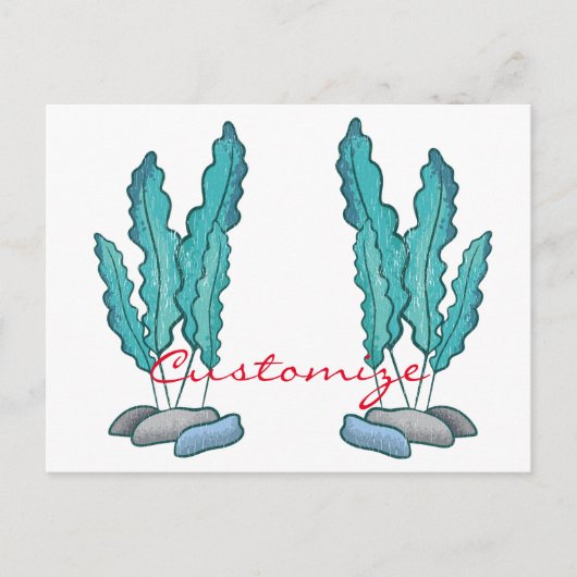 Carte Postale Algues bleues Thunder_Cove (Devant)