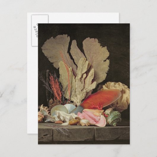 Carte Postale Algues, lithophytes et coquillages (Devant / Derrière)