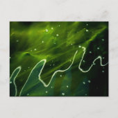 Carte Postale Algues vertes et eau pccna (Devant)