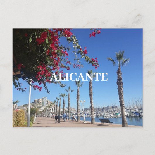 Carte Postale Alicante (Devant)