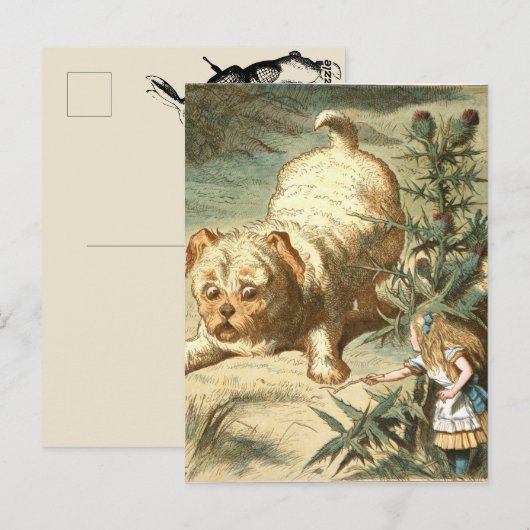 Carte Postale Alice (Devant / Derrière)