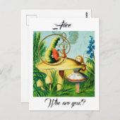 Carte Postale Alice au pays des merveilles - champignon, assis u (Devant / Derrière)