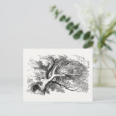 Carte Postale Alice au pays des merveilles - Cheshire Chat s'est (Debout devant)