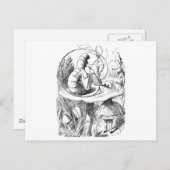 Carte Postale Alice consulte le Caterpillar (Devant / Derrière)