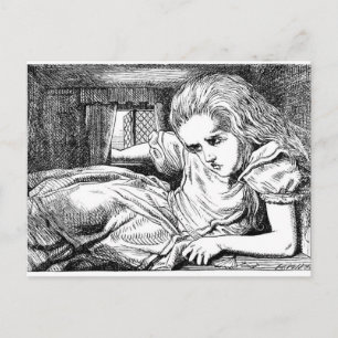 Carte Postale Alice dans la maison du lapin blanc