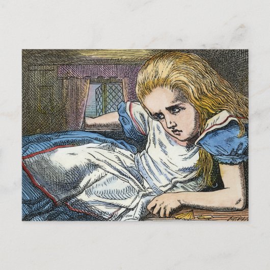 CARTE POSTALE ALICE EN WONDERLAND (Devant)