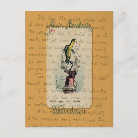 Carte Postale Alice et Bill le Lizard (Devant)