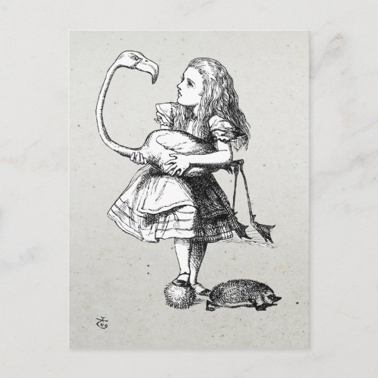 Carte Postale Alice et le Flamant rose (Devant)