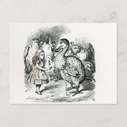 Carte Postale Alice rencontre le Dodo (Devant)