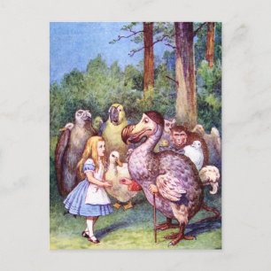 CARTE POSTALE ALICE RENCONTRE L'OISEAU DODO