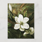 Carte Postale Alicia H. Laird : Magnolia Grandflora (Devant)