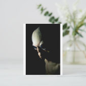 Carte Postale Alien (Debout devant)