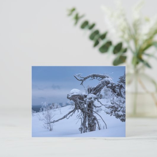 Carte postale alien en bois congelé (Debout devant)