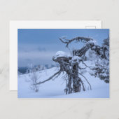 Carte postale alien en bois congelé (Devant / Derrière)