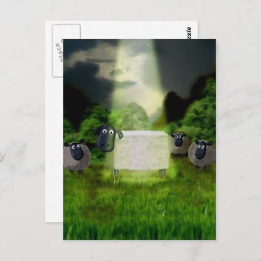 Carte postale Alien Sheep Experiment (Devant / Derrière)