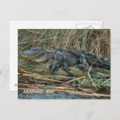 Carte Postale Aligator Maman (Devant / Derrière)