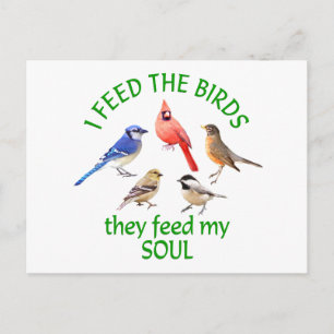 CARTE POSTALE ALIMENT D'OISEAU