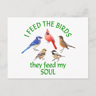 CARTE POSTALE ALIMENT D'OISEAU