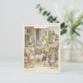 Carte Postale Alimentation des animaux de ferme (Debout devant)