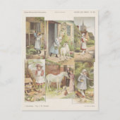 Carte Postale Alimentation des animaux de ferme (Devant)