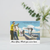 Carte Postale Alimentation du pélican en Floride (Debout devant)