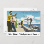 Carte Postale Alimentation du pélican en Floride (Devant / Derrière)