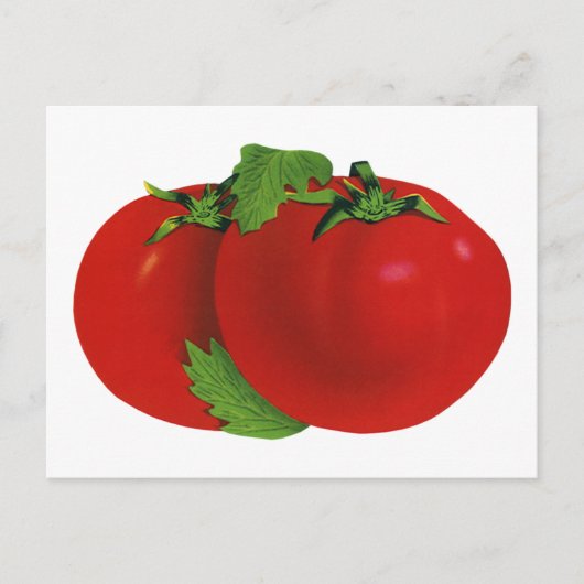 Carte Postale Aliments Anciens, Tomate Rouge Mûre Héritée Biolog (Devant)