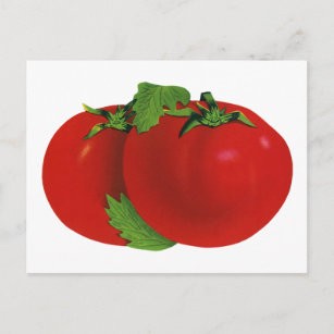 Carte Postale Aliments vintages, Bio Rouge Ripe Heirloom Tomate