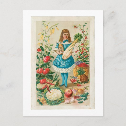 Carte Postale Aliments Vintages et légumes (Devant)