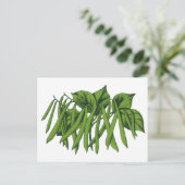 Carte Postale Aliments vintages, haricots verts biologiques Légu (Debout devant)