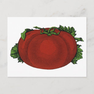 Carte Postale Aliments vintages, tomates mûres, légumes et fruit
