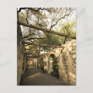 Carte Postale Allée à San Antonio, Texas