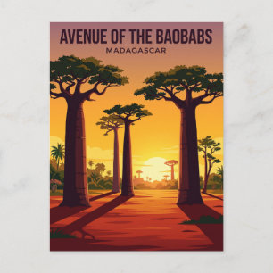 Carte Postale Allée des Baobabs Madagascar