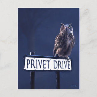 Carte Postale Allée des Privet