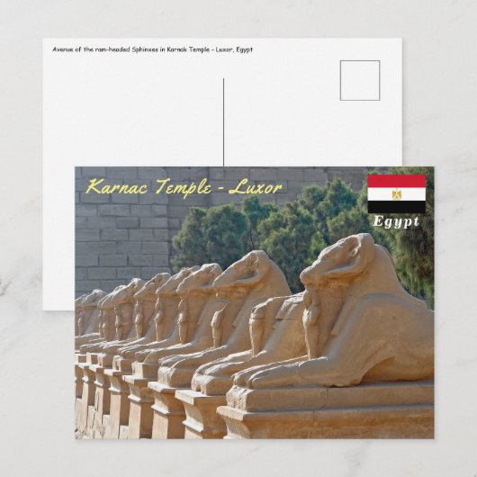 Carte Postale Allée des Sphinx à Karnak Temple - Égypte (Devant / Derrière)