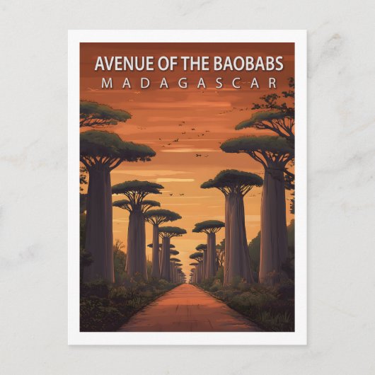 Carte Postale Allée Rétro des Baobabs Madagascar Nature (Devant)