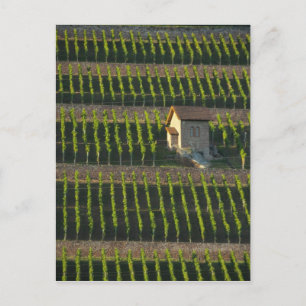 Carte Postale Allemagne, Franconie, Wertheim. Colline spéciale 2