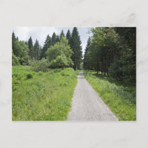 Carte Postale Allemagne, Thuringe, chemin en forêt