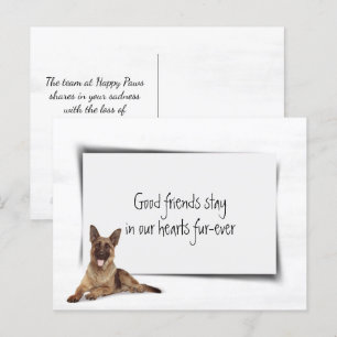 Carte Postale Allemand berger animal de compagnie Sympathy Loss