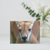 Carte Postale aller (Debout devant)